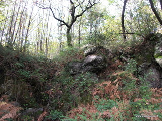 rderia-18-11-2012 12-00-05